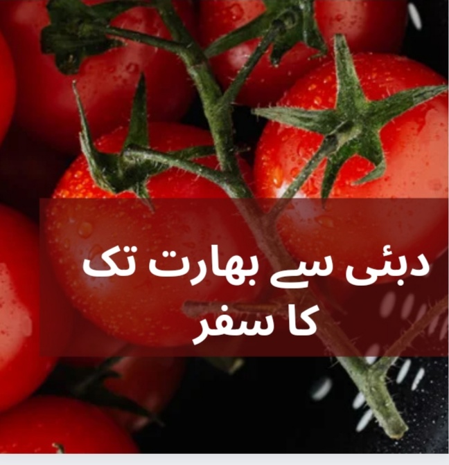 دبئی سے بھارت آنے والے ٹماٹر سرخیوں میں